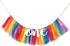 1st WAOUH Rainbow Banner for Birthday - Highchair Banner for First Birthday Decoration, Cake Smash Photo Prop, Tulle