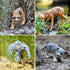 Toymany 12PCS Baby Figurines Forest Animals, Realistic Woodland Figures Toys Includes Elephant, Giraffe, Mountain Lion,