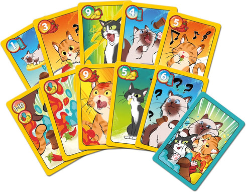 Sweet & Spicy Card Game - The New Accessible Version of Spicy, Bluff Game for 2 to 6 Players, Age 8+, 15 Min