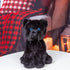 10 Inches. Plushland Black Panther Stuffed Animal Realistic Plush Panther for Kids and Adults