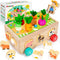 Toddlers Montessori Educational Wooden Shape Sorting Toys with Vegetables & Farm Animals for Ages 1-3