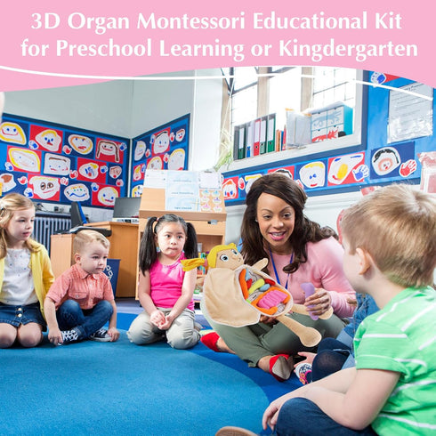 vocheer Human Body Anatomy Toy, Montessori Educational Organ Plush Toys for Kids, Science Learning Kits