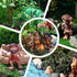 27 Pcs Primitive Man Figurines Kit, Diorama Supplies with Mini People Figures, Mixed Model Trees and Stone for