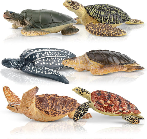 Toymany 6PCS Realistic Sea Turtle Figurines, Plastic Ocean Sea Animals Figures Set for Kids Birthday Gift