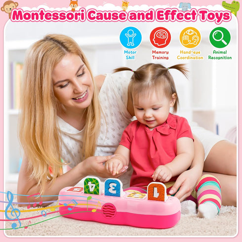 1 9-12-18 1st Duchong Toys for Year Old Girls, Interactive Pop Up Toy with Music & Light, Montessori Learning Toys