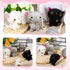 9 Pieces Mini Cat Plush Stuffed Animals, Cute Small Kittens for DIY Keychain Birthday Decoration
