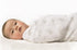 Marquisette Receiving Swaddle Blanket, SwaddleDesigns, Soft Premium Cotton Muslin, Elephant and Pastel Blue Chickies,