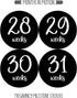 Pregnancy Weekly Belly Growth Stickers, Large Set of 36, Week to Week Photo Prop for Expecting Maternity Keepsake
