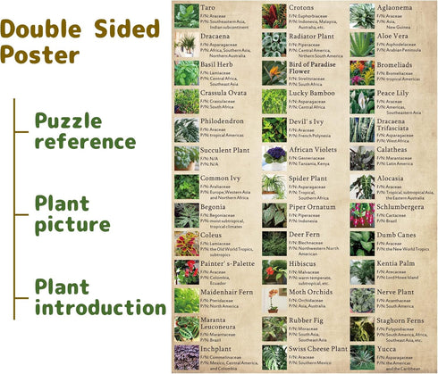 Vintage Houseplant Puzzle 1000 Pieces for Adult, Botany Succulent House Plant Puzzle, 39 Common Indoor Plants Jigsaw Puzzles(HD)