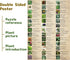 Vintage Houseplant Puzzle 1000 Pieces for Adult, Botany Succulent House Plant Puzzle, 39 Common Indoor Plants Jigsaw Puzzles(HD)
