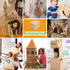 273 Set 4 5 6 Cardboard Cutting Tools for Kids, PCS Cardboard Construction Kit, Safe Kids Tool for Todder, Creative Toy