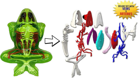 Dissect It Kit for Kids, Upgraded Frog Dissection Toy Kit, Realistic Lab Experience, STEM Toys for Animal Science