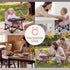 6-36 Booster Seat for Kitchen Chair with Removable Tray, Portable Foldable Baby Chair for Babies Months, Indoor Outdoor