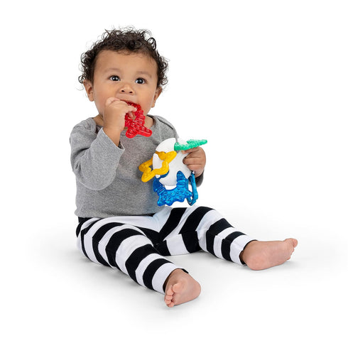 Baby Einstein Ocean Explorers Sea of Sensory Teether Toy, BPA Free, for Ages 3 Months and Up