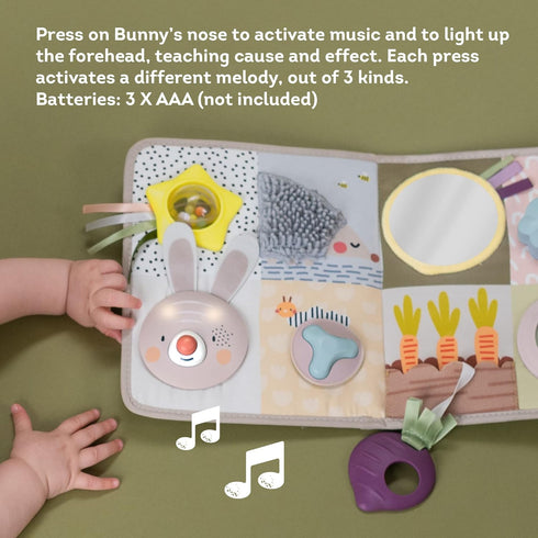 13 3D Taf Toys Newborns & Toddlers Busy Board with Music & Lights Montessori Activities Baby Safe Mirror, Activities