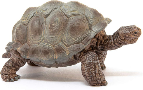 Schleich Wild Life Realistic Exotic Galapagos Giant Tortoise Figurine - Wild Animal Toy for Kids Age 3+