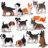 12PCS Dog Figurines Playset, Realistic Detailed Plastic Puppy Figures, Hand Painted Mini Dog Figures Toy Set