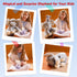 5 1 Mommy 4 Set 3 4 5 6 7 8 9 Pieces Elephant Stuffed Animals for Girls, Elephant with Babies Soft Plush Toys Gifts