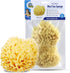 Baby Buddy Absorbent Natural Bath Sponge, Ultra Soft Premium Sea Wool Sponge,