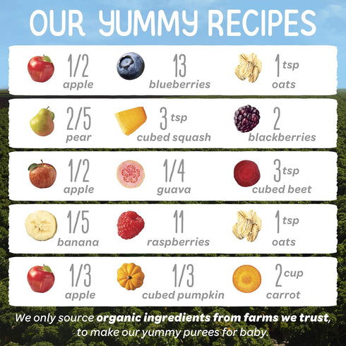 Happy Baby Organics Stage 2 Baby Food Pouches, Gluten Free, Vegan, Clearly Crafted Fruit & Veggie Puree, 4 Ounces, Pack