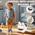 Jimate Interactive Walking Cat Plush Toy with Leash Electronic Kitty Pet That Meows and Wags Tail, Soft Stuffed Animal