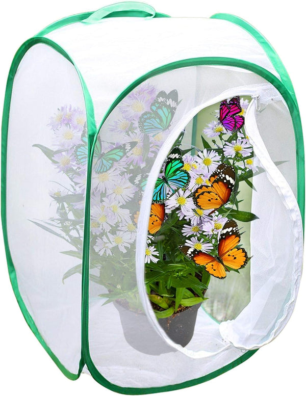 SunGrow Foldable Butterfly Habitat - 24" Cage for Caterpillars, Create Butterfly Farm for Breeding Green