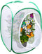SunGrow Foldable Butterfly Habitat - 24" Cage for Caterpillars, Create Butterfly Farm for Breeding Green