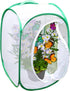 SunGrow Foldable Butterfly Habitat - 24" Cage for Caterpillars, Create Butterfly Farm for Breeding Green