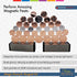 8, 9, 10, 11, 12+ Dowling Magnets Magic Penny Magnet Kit - STEM Toy Gift for Kids Years Old - Perfect Educational Gift