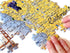 California Map Jigsaw Puzzle - 1000 Piece - Beautifully Illustrated Artwork Made in The USA with Recycled Materials