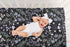 Sweet Jojo Designs Fitted Baby Crib Sheets (Black & Purple Wildflower Vintage Floral) for Girls, Infant Nursery