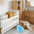 Potty Training Toilet for Boys and Portable Toilet Seat with Thickened Plastic Bowl Includes Small Potty Brush Suitable