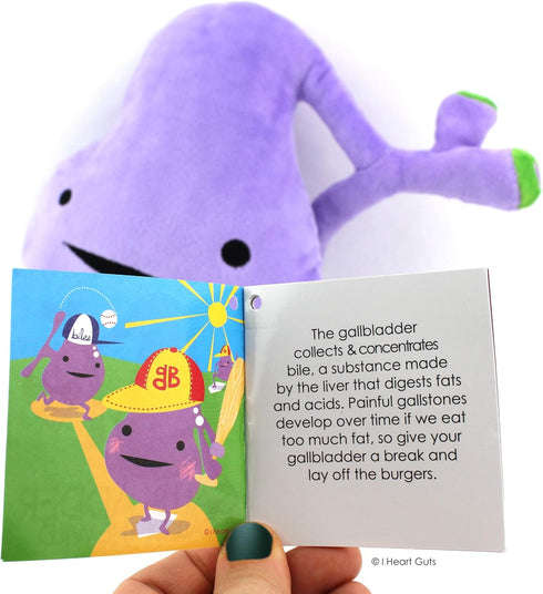 I Heart Guts Gallbladder Plush - 8" Gallbladder Removal Stuffed Toy