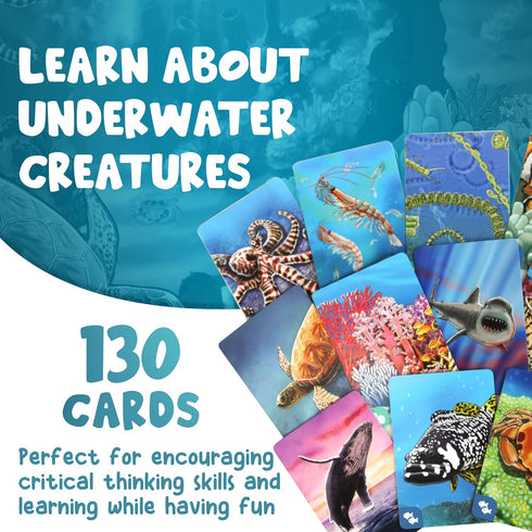 Genius Games Ecosystem: Coral Reef - Mensa Recommended Family Card Game About Aquatic Animals and Habitats