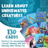 Genius Games Ecosystem: Coral Reef - Mensa Recommended Family Card Game About Aquatic Animals and Habitats