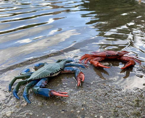 Gemini&Genius 2Pcs Crabs Marine Animal Action Figures, Educational Ocean Model Toys for Kids