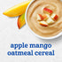 2 16PK Gerber Stage Baby Food, Apple Mango Oatmeal Cereal Puree Tubs, Baby Cereal