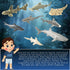 (12 Count) Shark Toy Animals