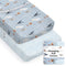 Baby Changing Pad Cover 2-Pack for Boys, Girls (Watercolor Airplanes and Clouds)