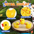 Rachan 130 Pcs Yellow Mini Ducks Bulk Resin Duck Figurines for Miniature Landscape Garden Aquarium Potted Accessories