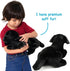 12 Inch TigerHart Blythe The Black Lab - Stuffed Animal Plush