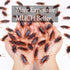 Pretty Realistic 50PCS Fake Roaches, Lifelike Cockroaches for Pranks, Halloween Projects, Creepy Faux Cockroaches