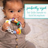 3-Pack Infantino Friendship Baby Teethers, Soft Silicone Teething Toys, Sensory Textures, Easy to Grip, BPA-Free