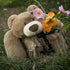 20" 3.3 Niuniu Daddy | Pound Weighted Bear Stuffed Animals for Adults Kids, Giant Large Teddy Bear Plush Toy, Cute