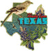 Galison Wendy Gold Texas Shaped Mini Puzzle - 100 Pieces Die-Cut Jigsaw Featuring Art by Wendy Gold