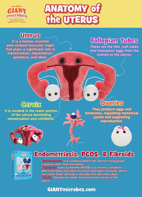 GIANTmicrobes Uterus Plush Toy, Hysterectomy Gifts, Endometriosis Awareness, Get Well Gift