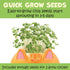 6+) Creativity for Kids Plant-A-Pet: Kitty - Arts and Crafts for Kids, Mini Gifts for Girls and Spring Crafts for Kids