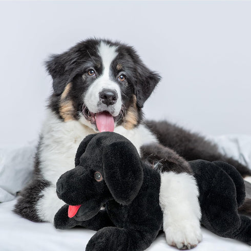 LotFancy Dog Stuffed Animal - 21 Inch Black Lab Plush Dog, Realistic Stuffed Puppy Plush Toy for Kids