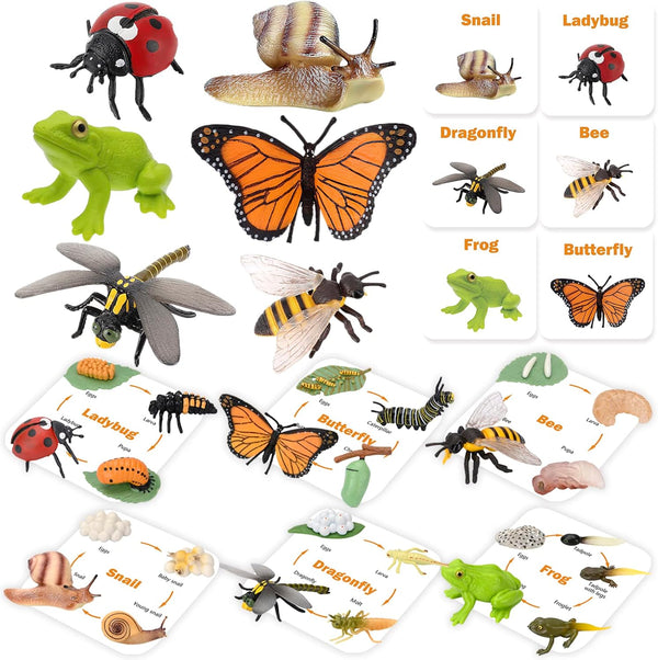 MIKNEKE Montessori Animal Life Cycle Figurines, Plastic Miniature Educational Toys, 6 Count, Ages