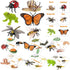 MIKNEKE Montessori Animal Life Cycle Figurines, Plastic Miniature Educational Toys, 6 Count, Ages